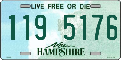 NH license plate 1195176