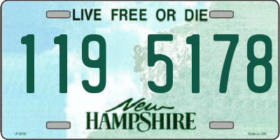 NH license plate 1195178