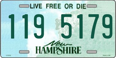 NH license plate 1195179