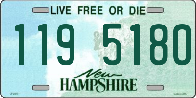 NH license plate 1195180