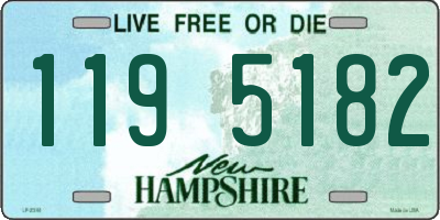 NH license plate 1195182