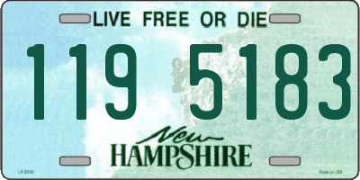 NH license plate 1195183