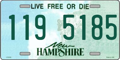 NH license plate 1195185