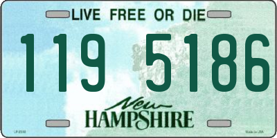NH license plate 1195186
