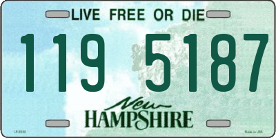 NH license plate 1195187