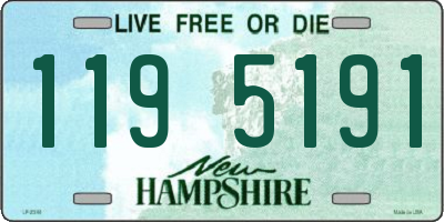 NH license plate 1195191