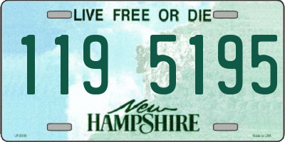 NH license plate 1195195