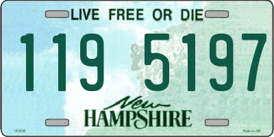 NH license plate 1195197