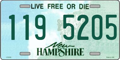 NH license plate 1195205