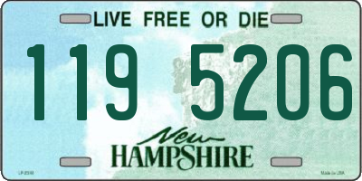 NH license plate 1195206