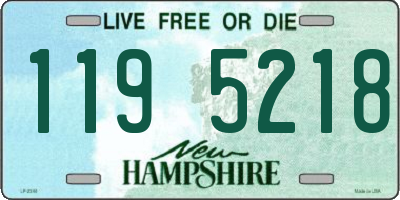 NH license plate 1195218