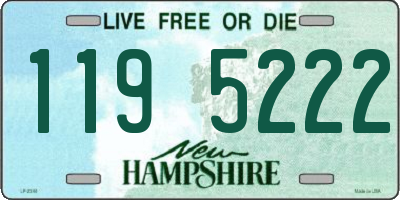 NH license plate 1195222