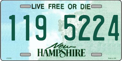 NH license plate 1195224