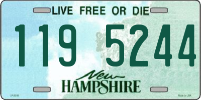 NH license plate 1195244