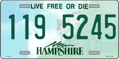 NH license plate 1195245