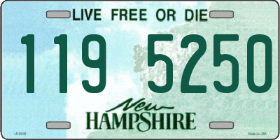 NH license plate 1195250