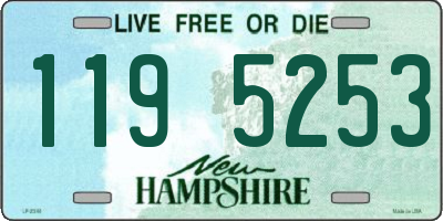NH license plate 1195253