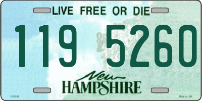 NH license plate 1195260