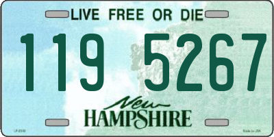 NH license plate 1195267