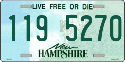 NH license plate 1195270