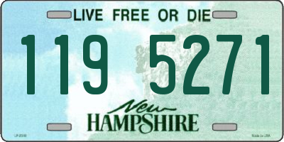 NH license plate 1195271