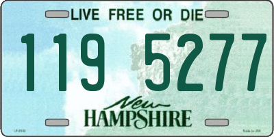 NH license plate 1195277