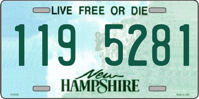 NH license plate 1195281