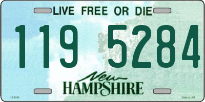 NH license plate 1195284