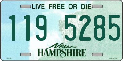 NH license plate 1195285