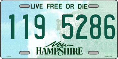 NH license plate 1195286