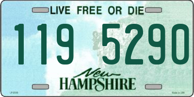 NH license plate 1195290