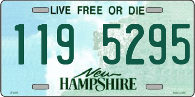 NH license plate 1195295