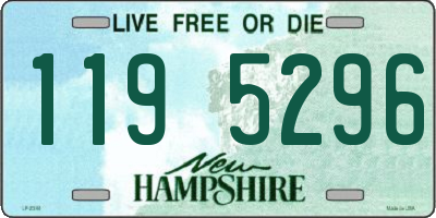 NH license plate 1195296