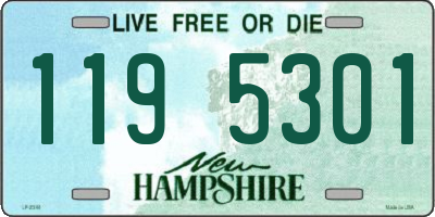 NH license plate 1195301
