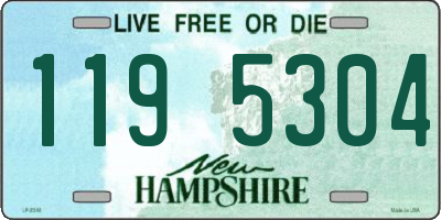 NH license plate 1195304