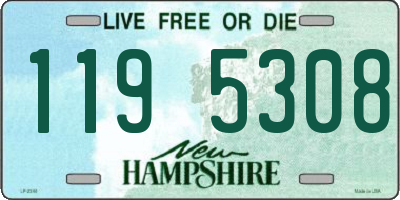 NH license plate 1195308