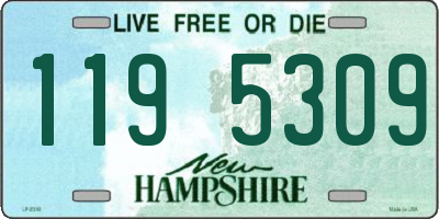 NH license plate 1195309