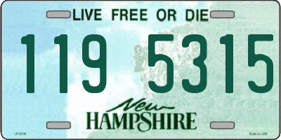 NH license plate 1195315