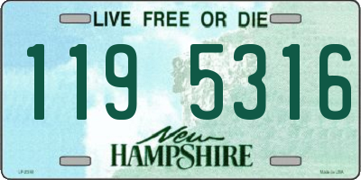 NH license plate 1195316