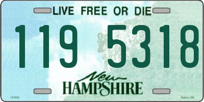 NH license plate 1195318
