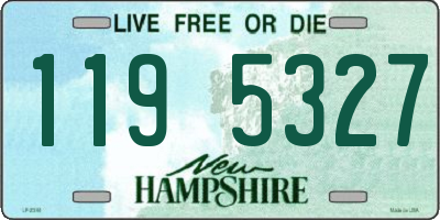 NH license plate 1195327