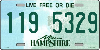NH license plate 1195329