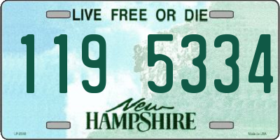 NH license plate 1195334