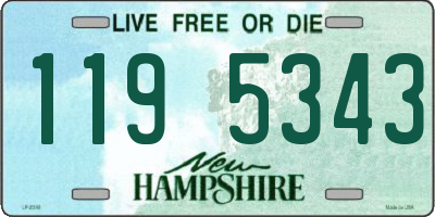 NH license plate 1195343
