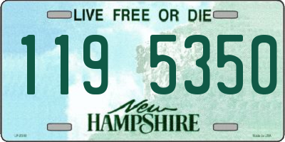 NH license plate 1195350