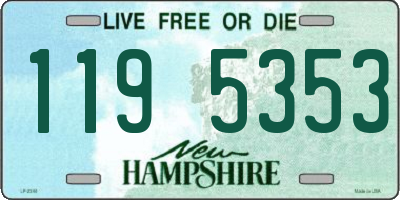NH license plate 1195353