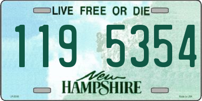 NH license plate 1195354