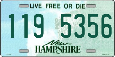 NH license plate 1195356