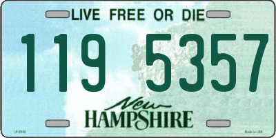 NH license plate 1195357