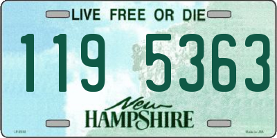 NH license plate 1195363